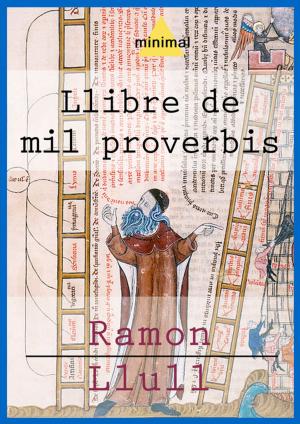 Cover of the book Llibre de mil proverbis by Juan León Mera