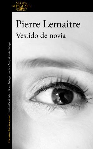 Book cover of Vestido de novia