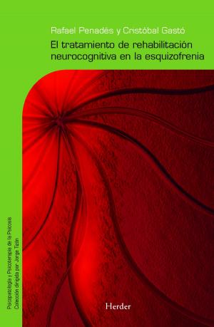 Cover of the book El tratamiento de rehabilitación neurocognitiva en la esquizofrenia by Papa Benedicto XVI