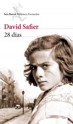 Cover of the book 28 días by Guy Windsor