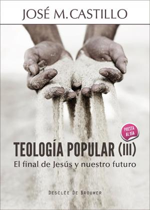 Cover of the book Teología popular (III) by Ildefonso Camacho Laraña