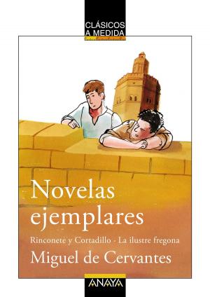 Book cover of Novelas ejemplares: Rinconete y Cortadillo / La ilustre fregona