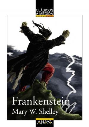 Cover of the book Frankenstein by Daniel Nesquens