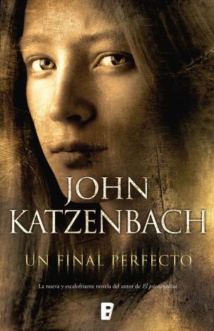 Cover of the book Un final perfecto by Manuel Vilas