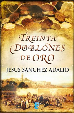 Cover of the book Treinta doblones de oro by Nieves Hidalgo