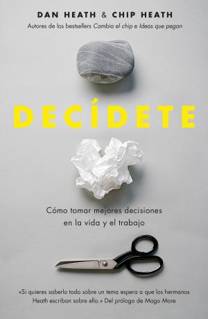 Cover of the book Decídete by Biz Stone