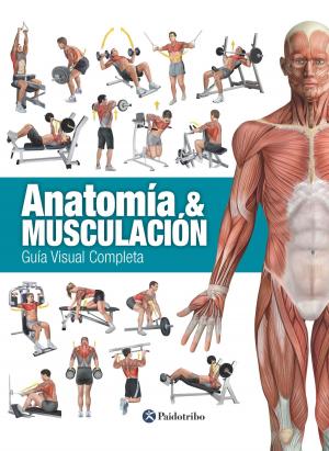 Cover of the book ANATOMÍA & MUSCULACIÓN by Carlos Vila Gómez