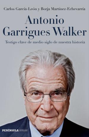 Cover of the book Antonio Garrigues Walker by Ignacio Martínez de Pisón