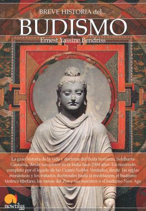 Cover of the book Breve historia del budismo by Javier Yuste