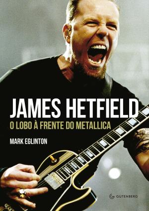 Cover of the book James Hetfield by Silvia Adela Kohan