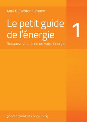 Cover of the book Le petit guide de l’énergie 1: Occupez–vous bien de votre énergie by Marika Desantis