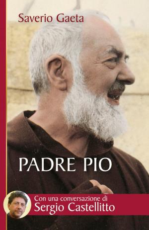 Cover of Padre Pio. Il mistero del Dio vicino