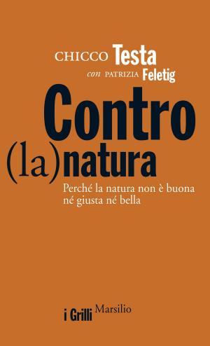 Cover of the book Contro(la)natura by Pavel A. Florenskij