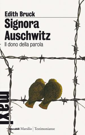 Book cover of Signora Auschwitz