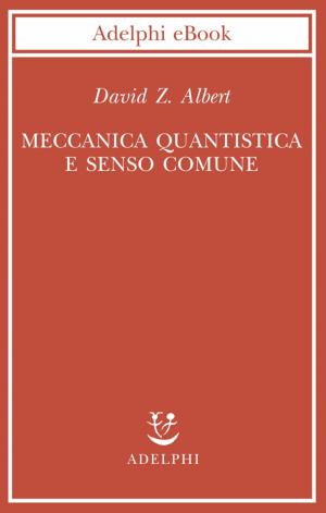 Cover of the book Meccanica quantistica e senso comune by Giorgio Manganelli