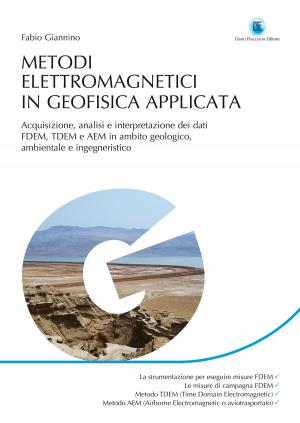 Cover of the book Metodi elettromagnetici in geofisica applicata by Cristina Zagaria