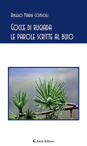 Cover of the book Gocce di rugiada le parole scritte al buio by Barbara Regazzoni, Tommaso de Cataldo, Giacomo Curatolo, Silvia Lodi, Claudio Foresti, Lucia De Cicco