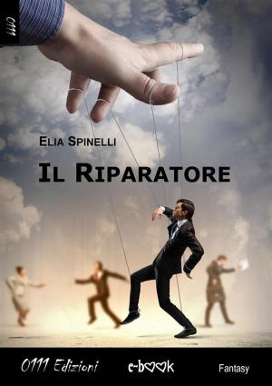 Book cover of Il Riparatore