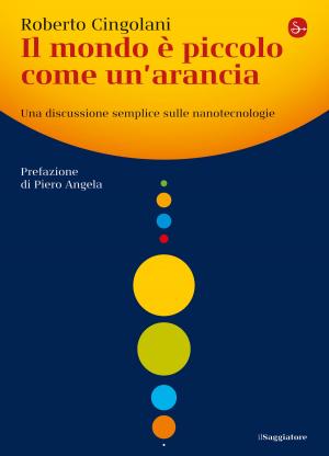 Cover of the book Il mondo è piccolo come un'arancia by Vittorio Giacopini