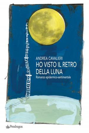 Cover of the book Ho visto il retro della luna by Franco Nanetti