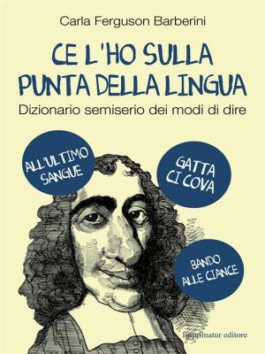 Cover of the book Ce l'ho sulla punta della lingua by Federico Mello