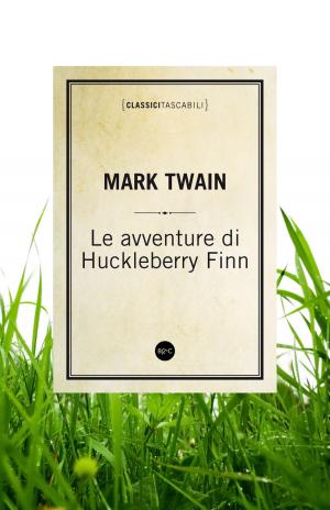 Book cover of Le avventure di Huckleberry Finn