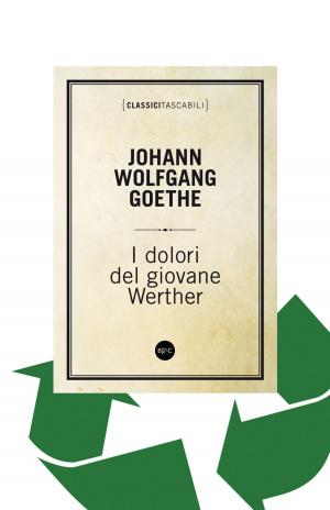 Cover of the book I dolori del giovane Werther by Sarah Hall