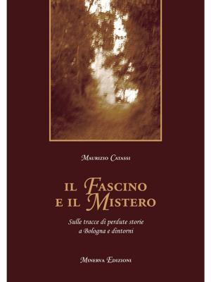 Cover of the book Il fascino e il mistero by Max Magi