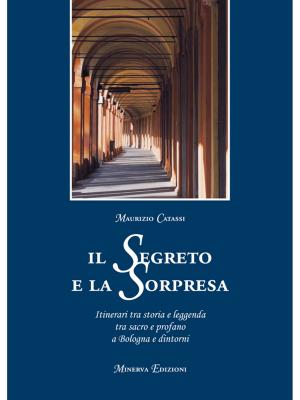 Cover of the book Il segreto e la sorpresa by Terry Zanetti, Elisabetta Martelli