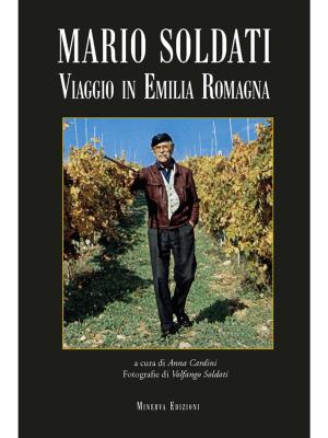 Cover of the book Viaggio in Emilia-Romagna by Achille Melchionda