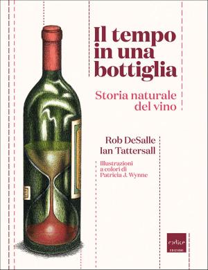 Book cover of Il tempo in una bottiglia. Storia naturale del vino