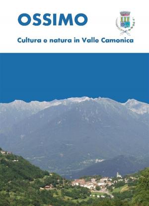 Book cover of Ossimo: cultura e natura in Valle Camonica