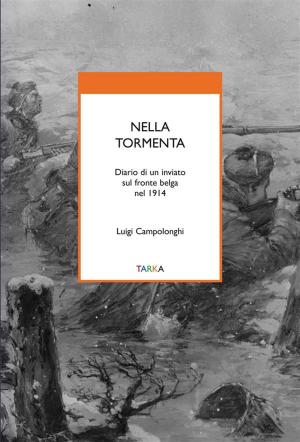 Cover of the book Nella tormenta by Jack London