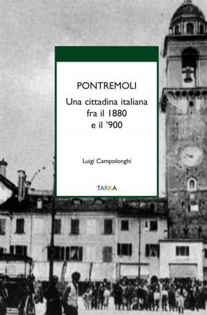 Cover of the book Pontremoli by Pierre Loti
