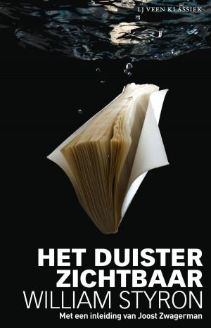 Cover of the book Het duister zichtbaar by Mensje van Keulen