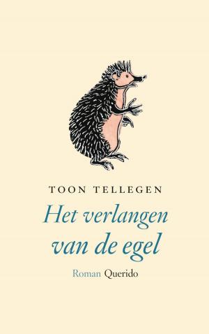 Cover of the book Het verlangen van de egel by Edzard Mik