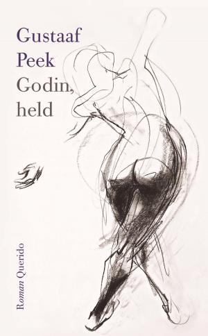 Cover of the book Godin, held by Robert Vuijsje