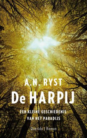 Cover of the book De harpij by Amy Bloom