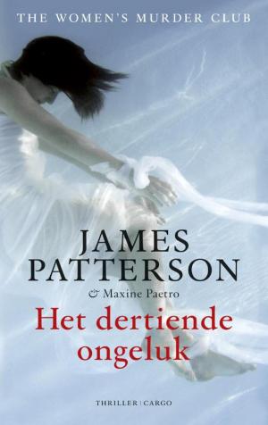 Cover of the book Het dertiende ongeluk by Amos Oz