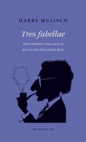 Cover of the book Tres fabellae by Marten Toonder