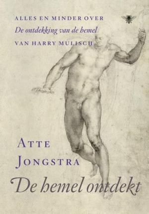 Cover of the book De hemel ontdekt by Stefan Hertmans