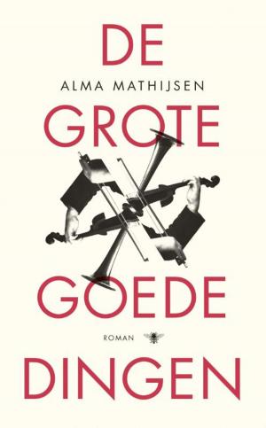 Cover of the book De grote goede dingen by Ernest van der Kwast