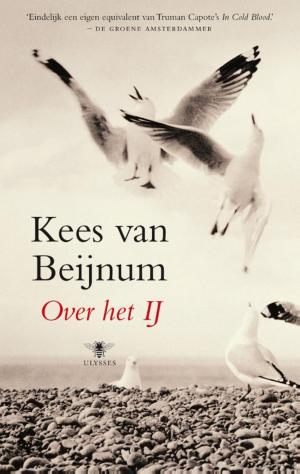 Cover of the book Over het IJ by Remco Campert, Jan Campert