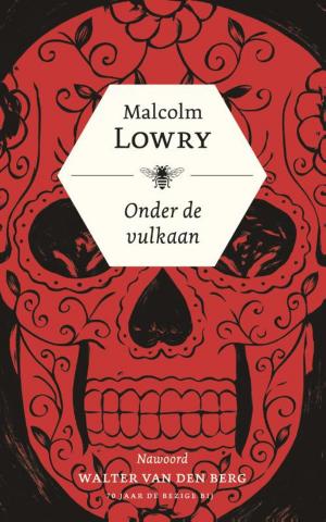 Cover of the book Onder de vulkaan by Tommy Wieringa