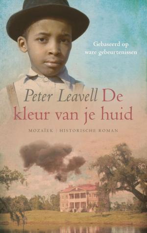 Cover of the book De kleur van je huid by Henny Thijssing-Boer