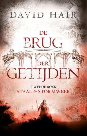 Cover of the book Staal & stormweer by Terry Goodkind