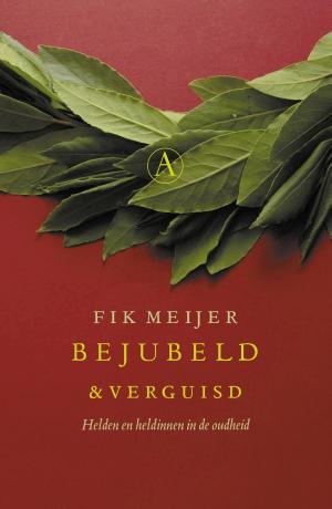 Cover of the book Bejubeld en verguisd by Toon Tellegen