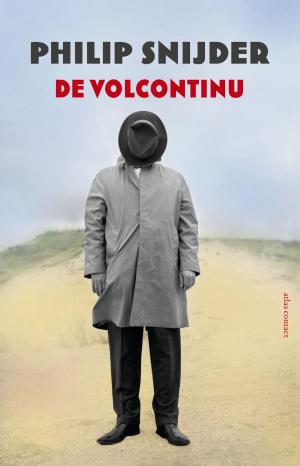 Cover of the book De volcontinu by Willeke Stadtman