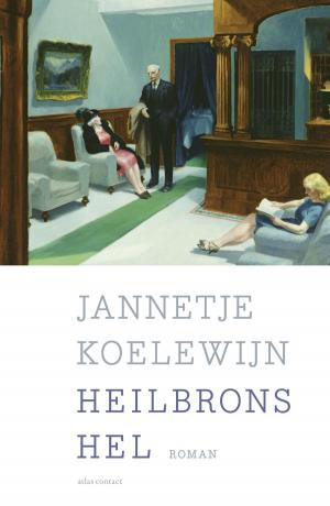 Cover of the book Heilbrons hel by Lieve Joris