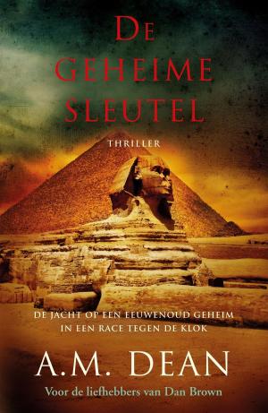 Cover of the book De geheime sleutel by Karin Peters